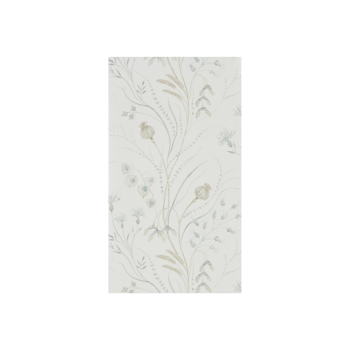 Summer Harvest Wallpaper 216498 by Sanderson in Silver Chalk Roll