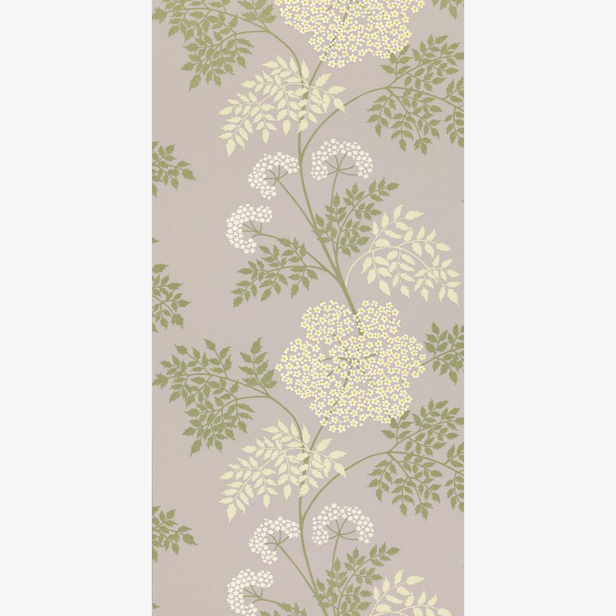 Cowparsley Floral Wallpaper 103 by Sanderson in Amethyst Purple Roll