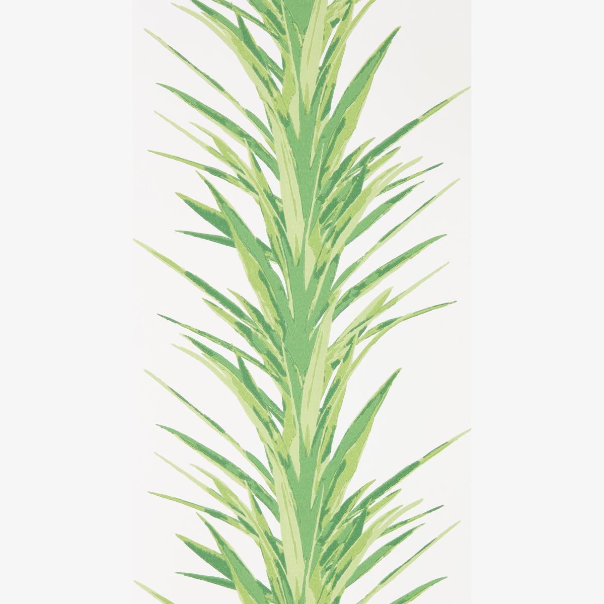 Yucca Wallpaper 216649 by Sanderson in Botanical Green Roll