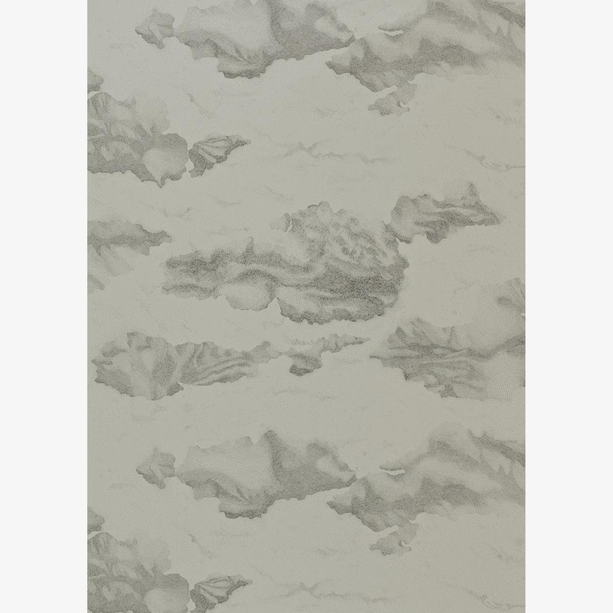 Nuvola Wallpaper 111069 by Harlequin in Charcoal Silver Grey Roll