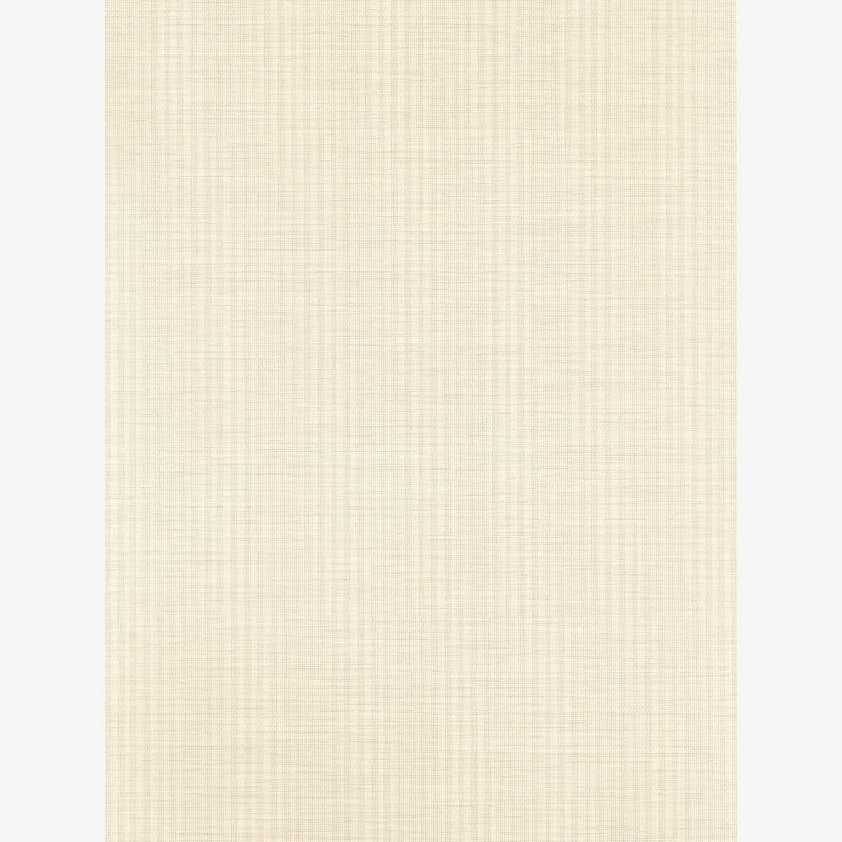 Lint Textured Wallpaper 112097 by Harlequin in Nude Natural Roll