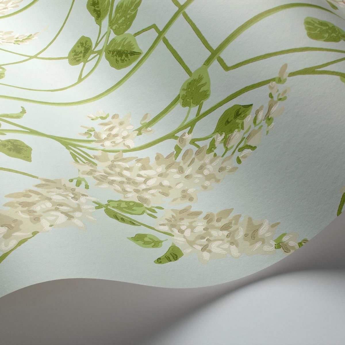 Wisteria Wallpaper 5014 by Cole & Son in Stone Olive Duck Egg Roll – image 2