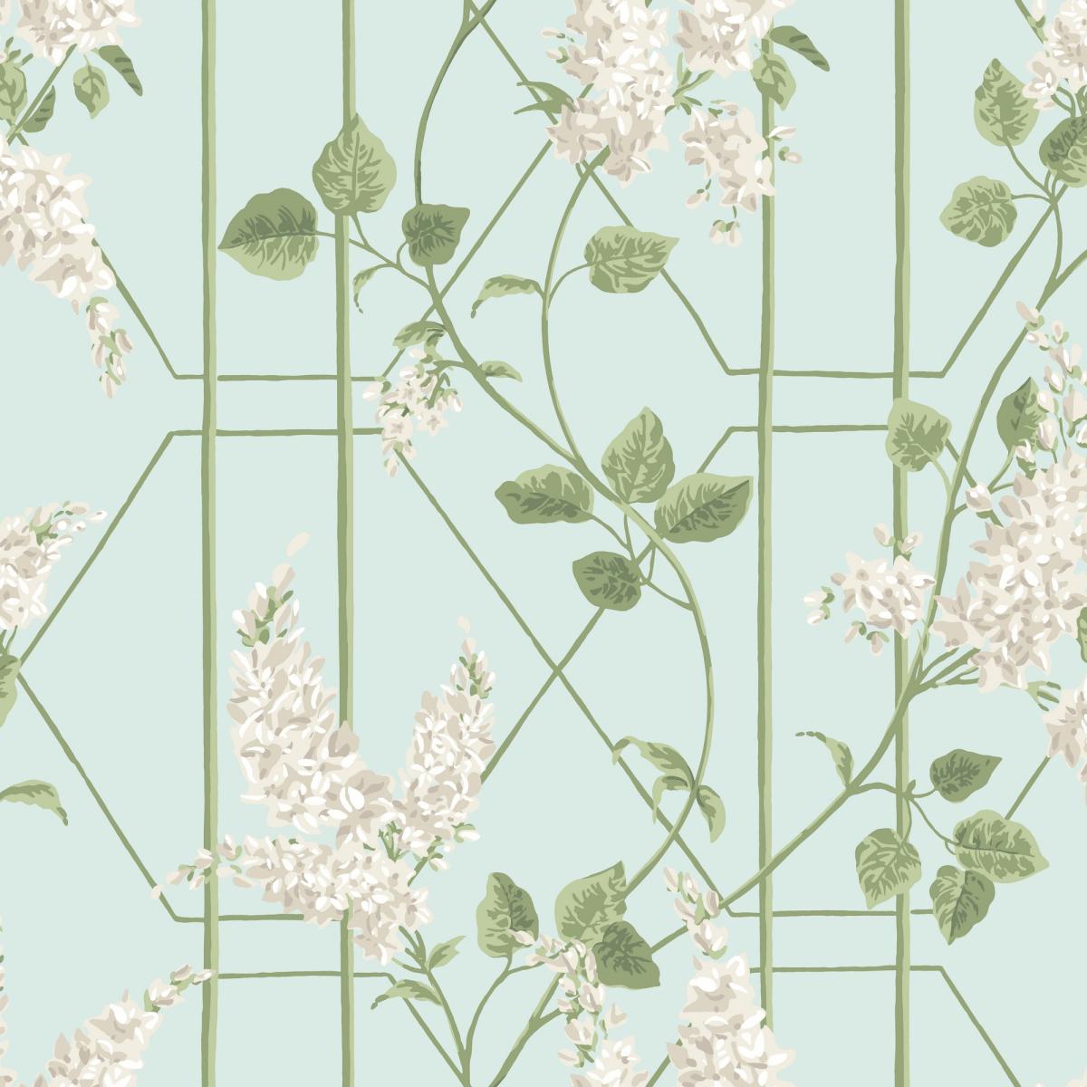 Wisteria Wallpaper 5014 by Cole & Son in Stone Olive Duck Egg Roll – image 1