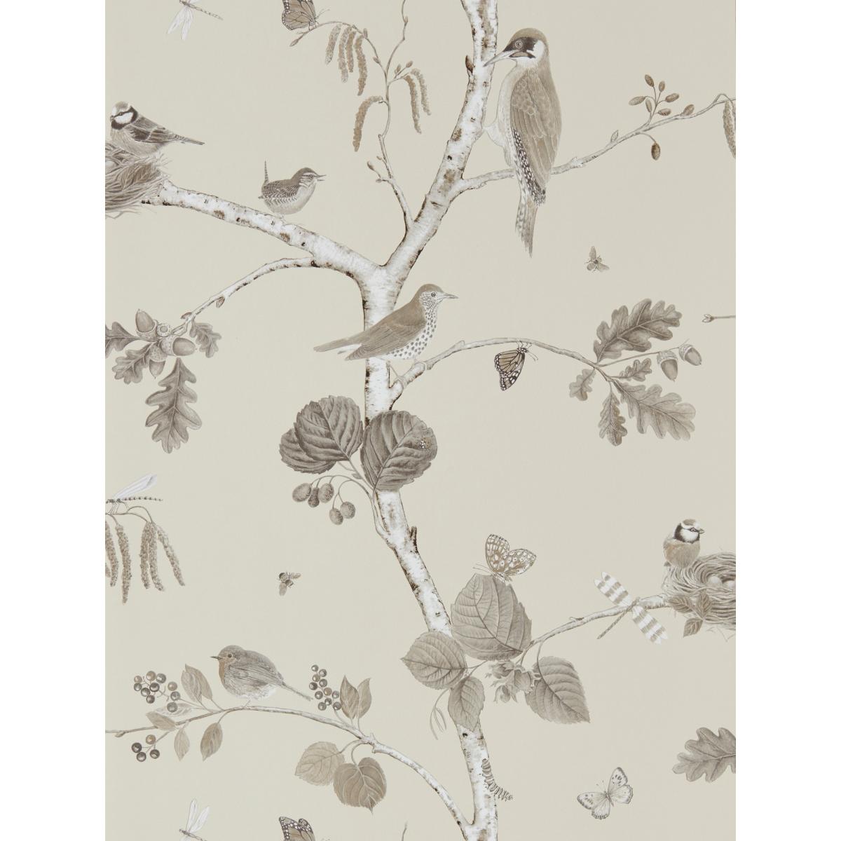 Woodland Chorus Wallpaper 215704 by Sanderson in Sepia Brown&nbsp;Roll – image 3