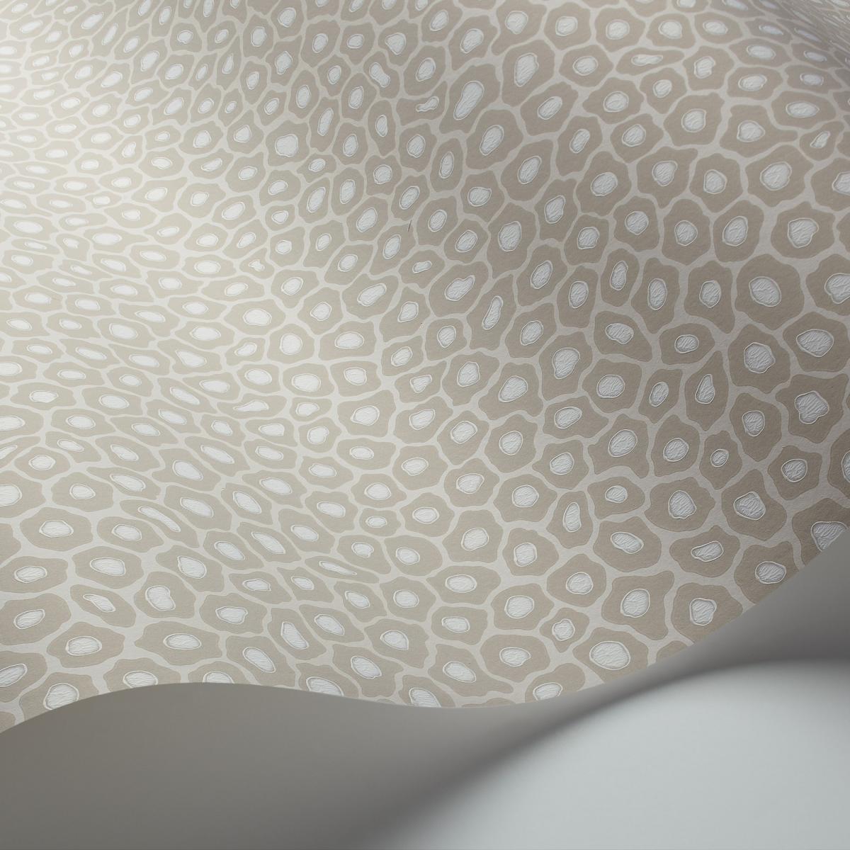 Senzo Spot Wallpaper 6030 by Cole & Son in Stone Grey&nbsp;Roll – image 2