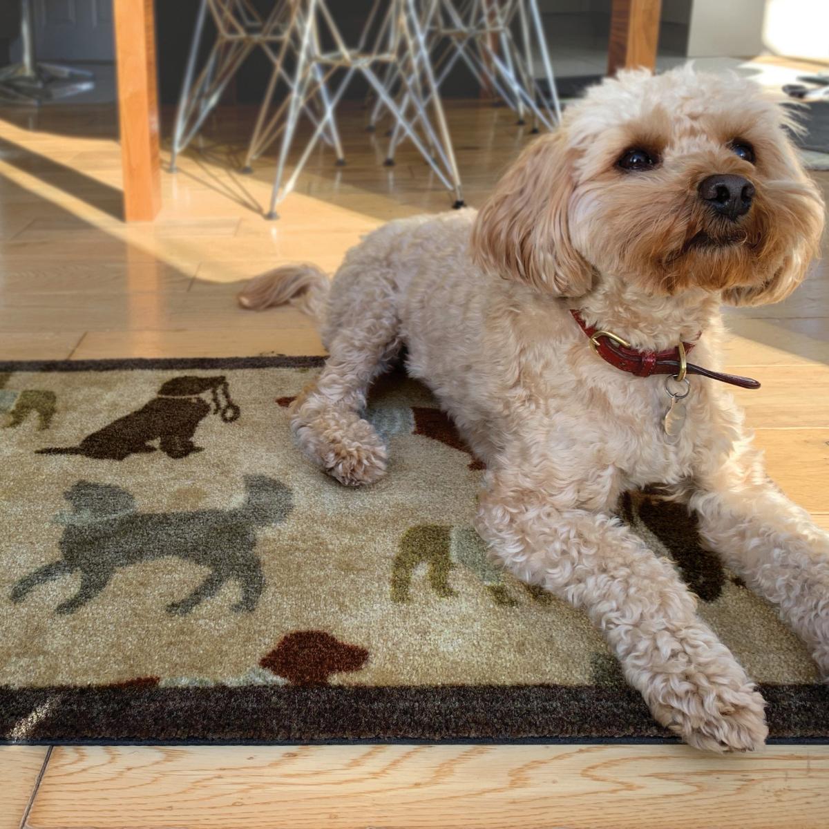 Howler & Scratch Going Out Pet Mats Beige 50x75cm – image 4