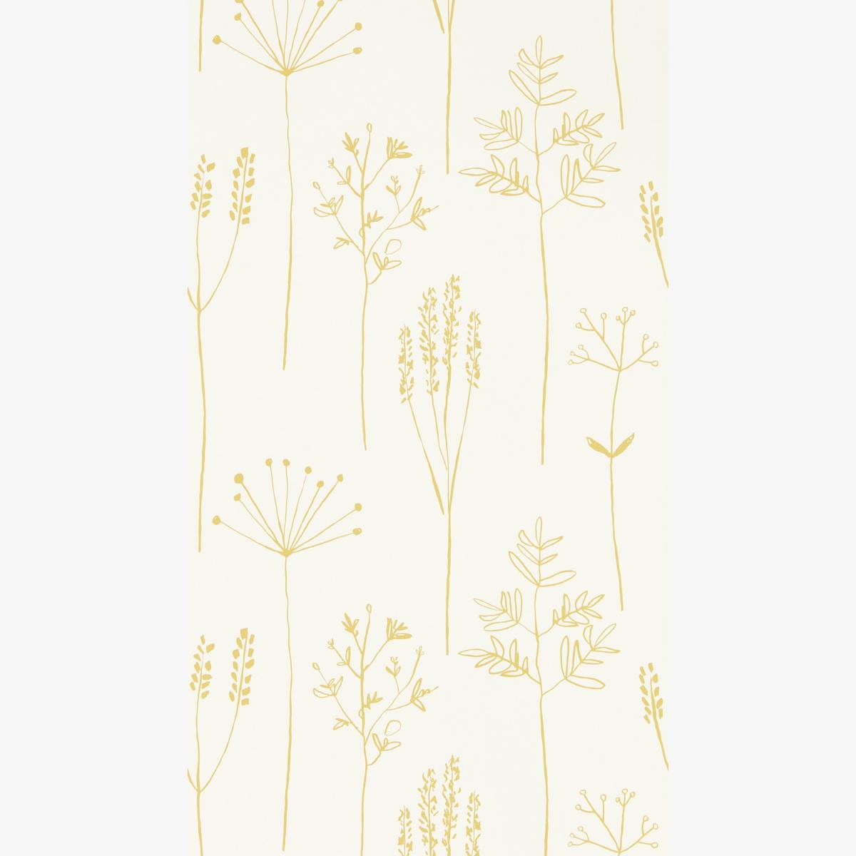 Stipa Leaf Wallpaper 112021 by Scion in Honey Yellow Roll