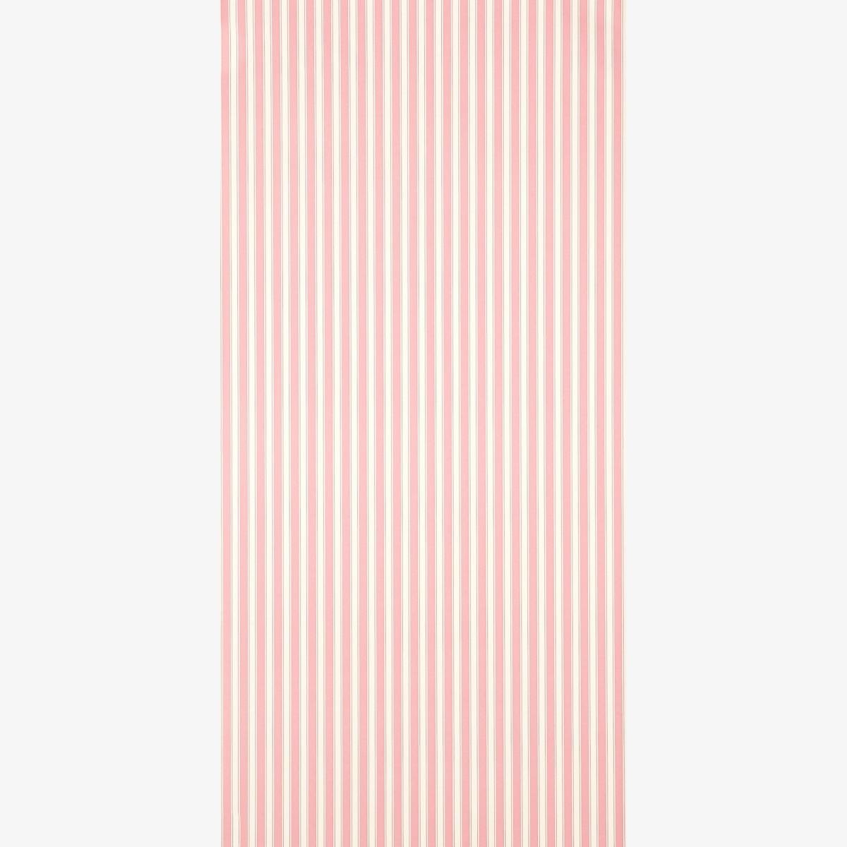 New Tiger Stripe Wallpaper 101 by Sanderson in Rose Ivory Roll