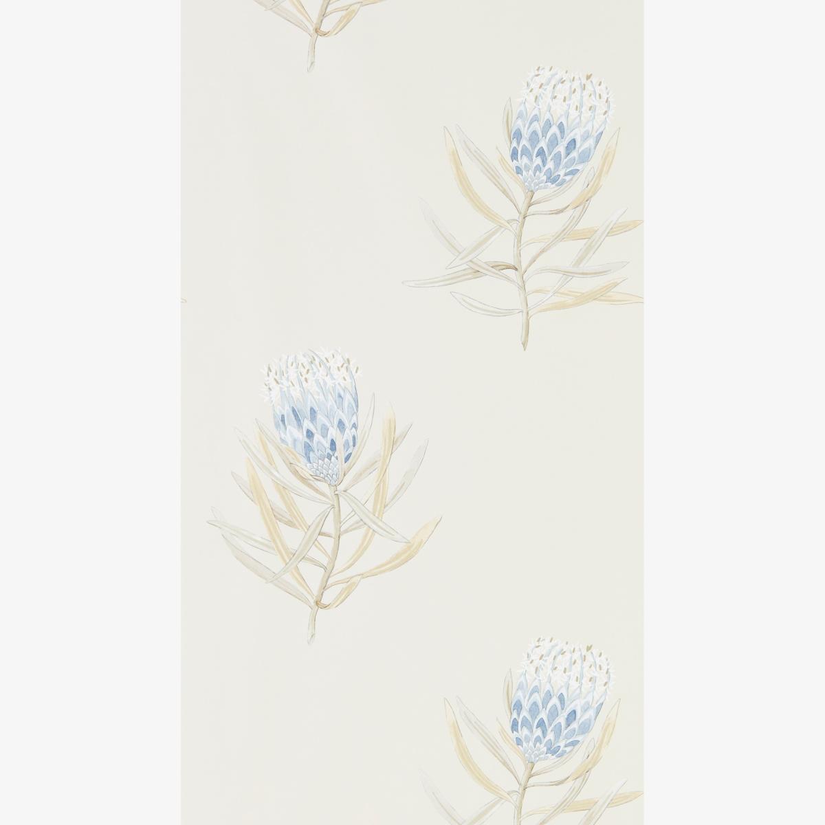 Protea Flower Wallpaper 216327 by Sanderson in China BlueRoll