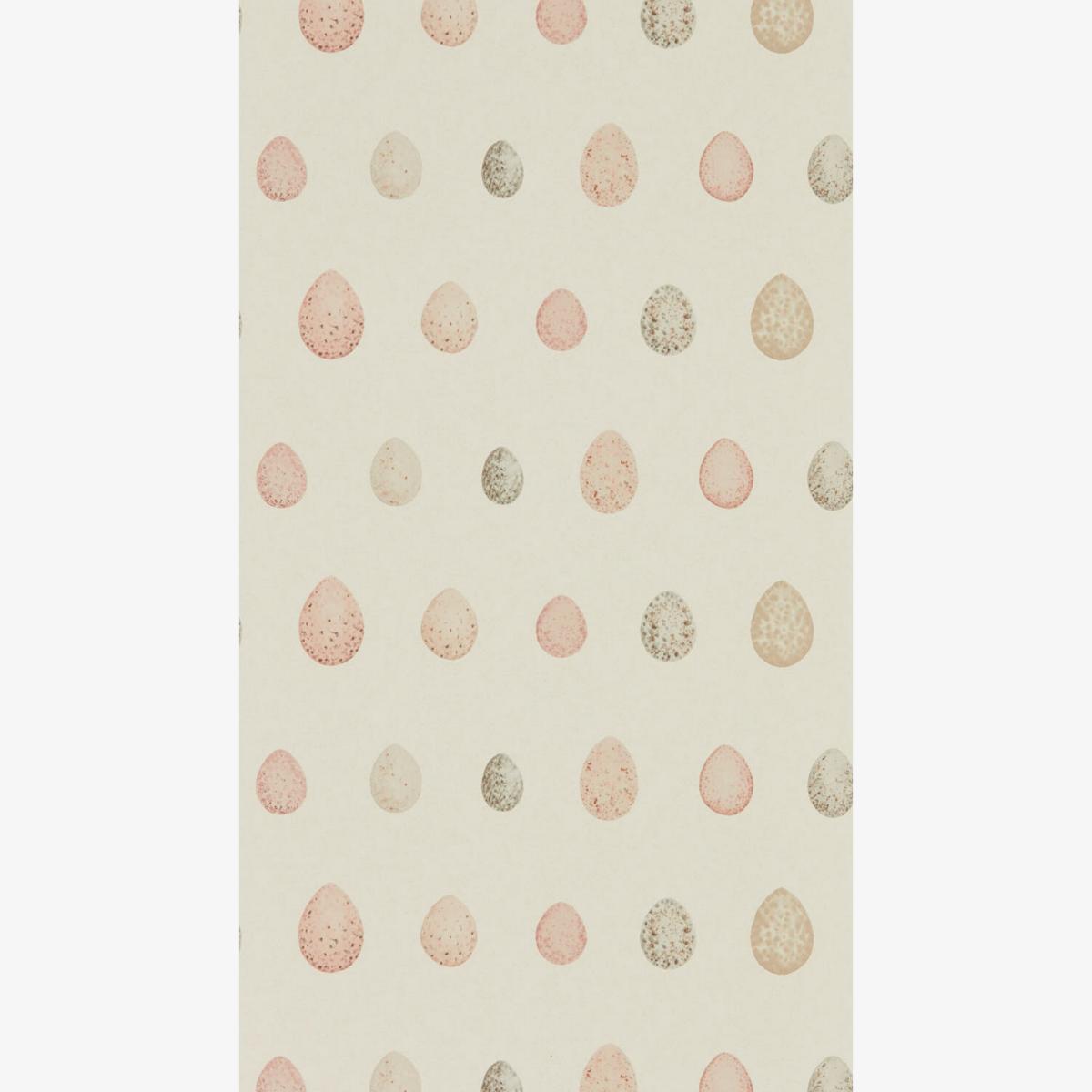 Nest Egg Wallpaper 216506 by Sanderson in Blush Pink Roll