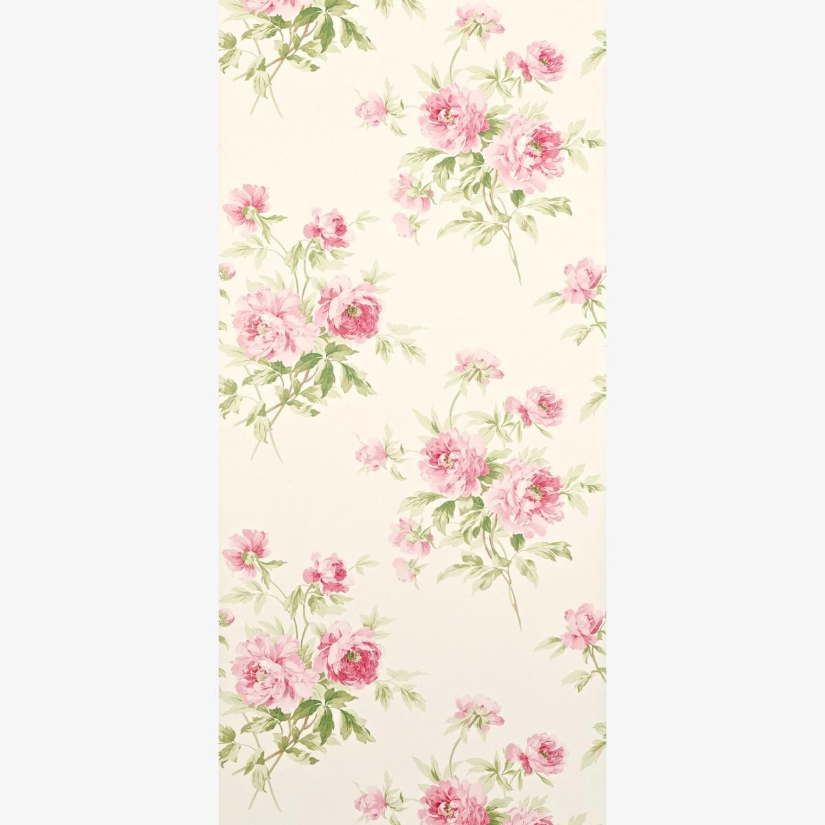 Adele Floral Wallpaper 101 by Sanderson in Rose Cream White Roll