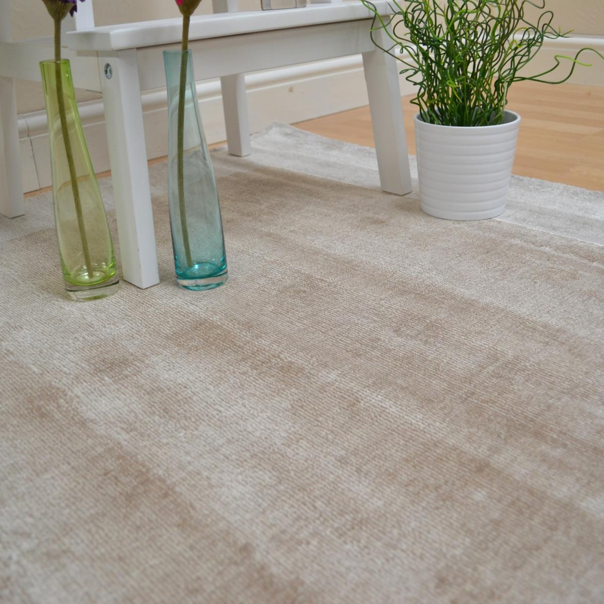 Blade Border Rugs in Putty and Champagne 160x230cm – image 4