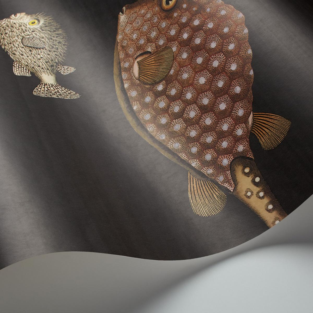 Acquario Wallpaper 10048 by Cole & Son in Soot Black Roll – image 2