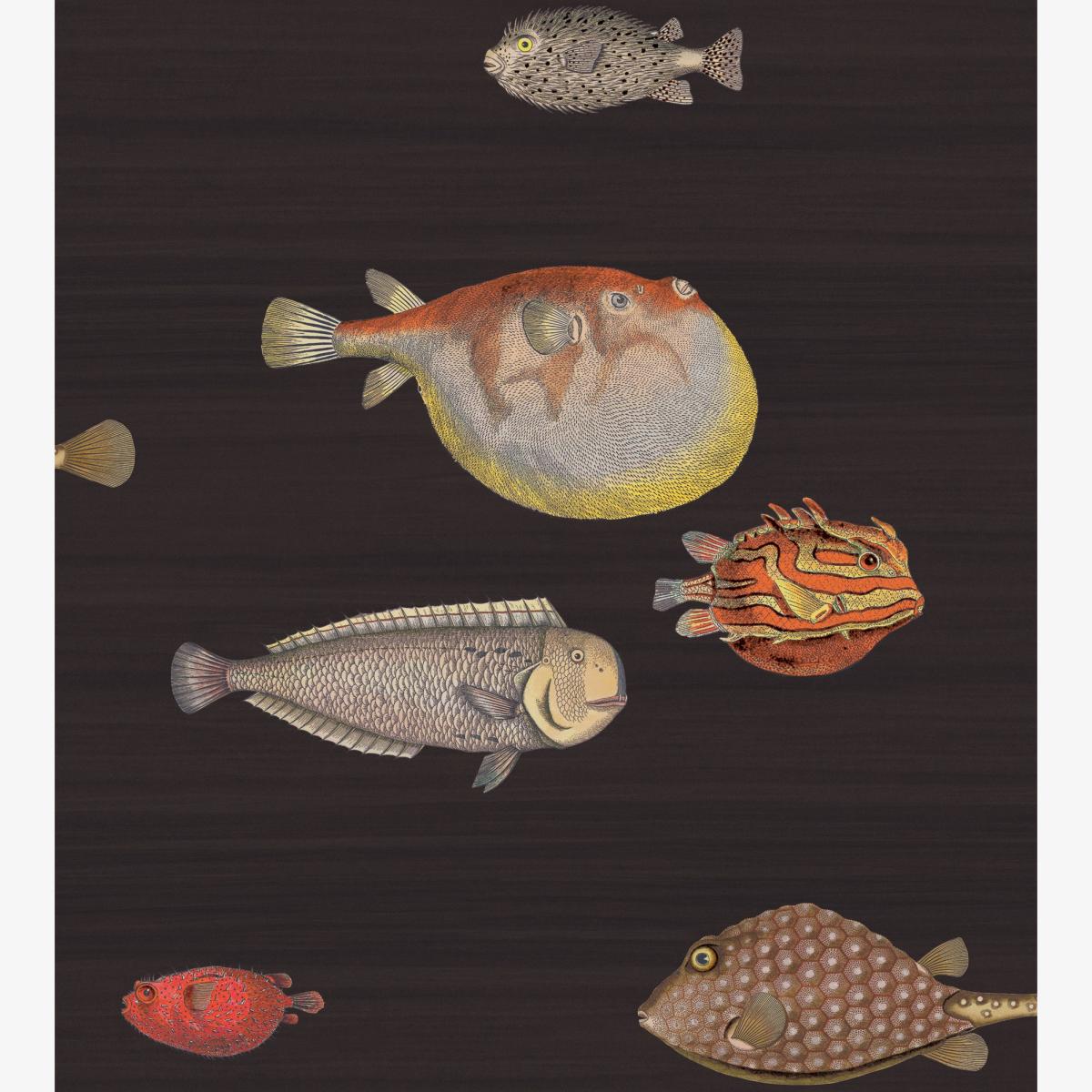 Acquario Wallpaper 10048 by Cole & Son in Soot Black Roll – image 1