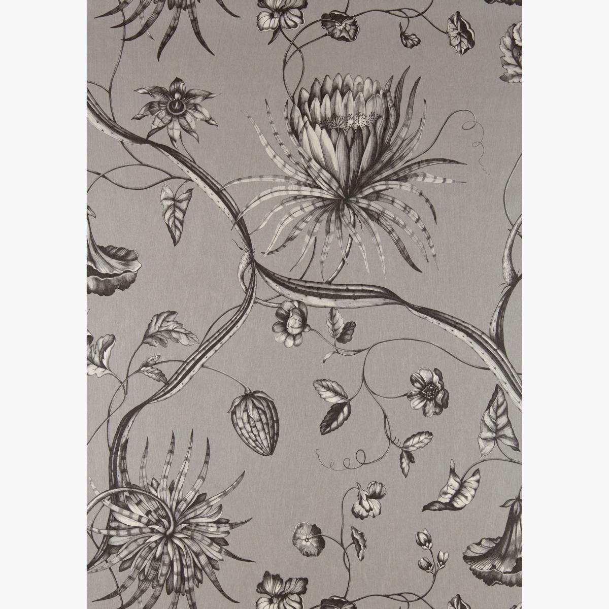 Phaedra Wallpaper 312621 by Zoffany in Silver Grey Roll