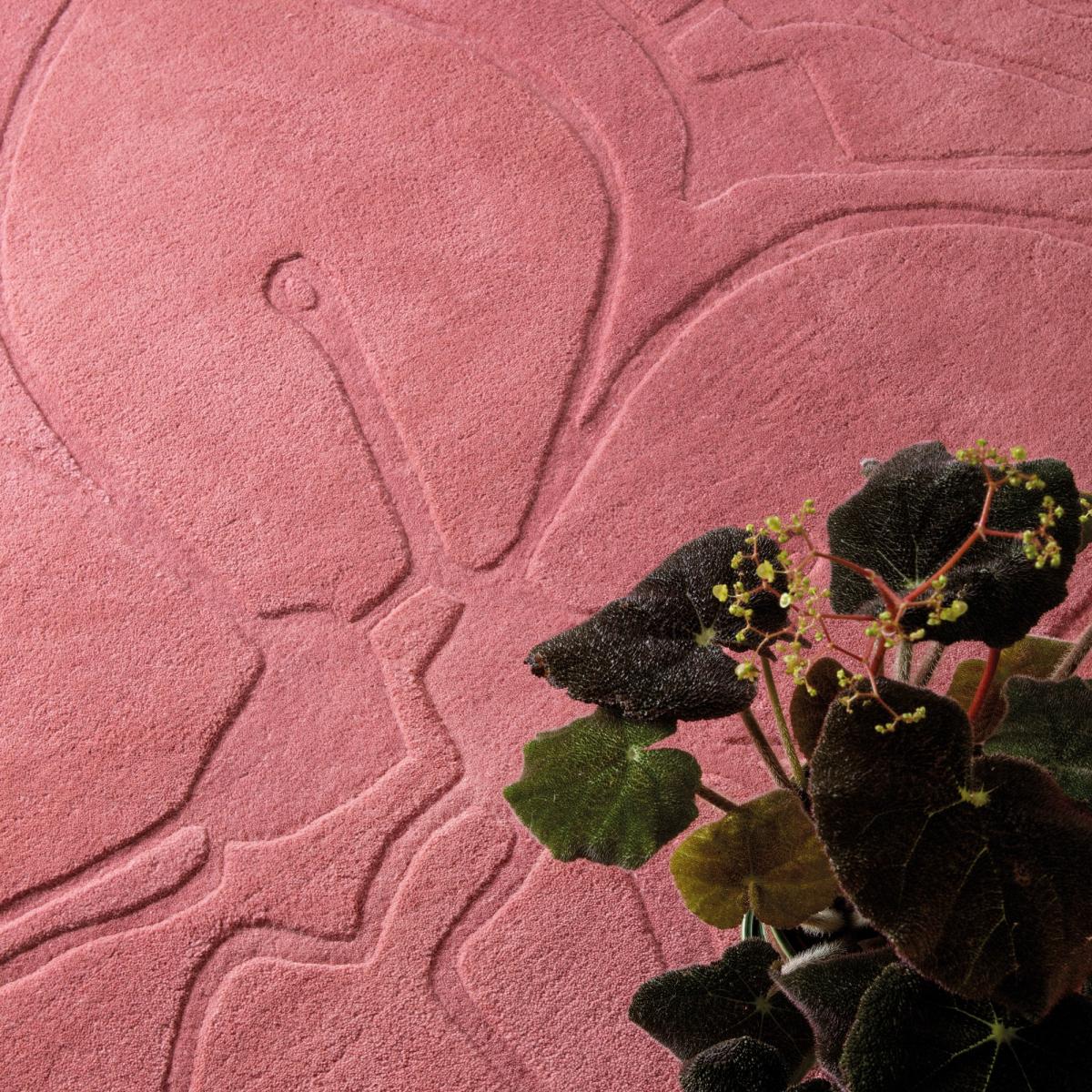 Romantic Magnolia 162702 Rugs by Ted Baker in Pink200x280cm – image 2