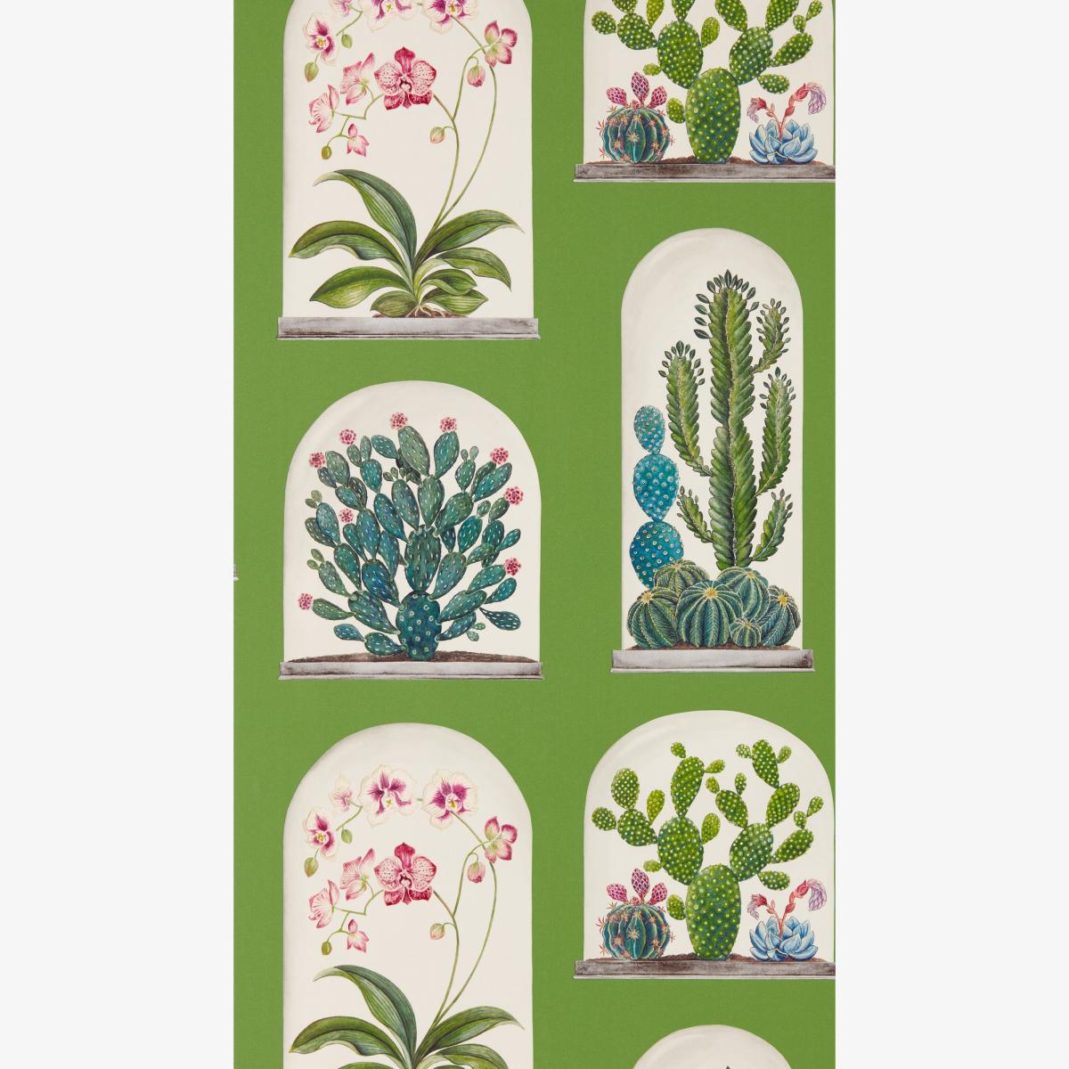 Terrariums Wallpaper 216656 by Sanderson in Botanical Green Multi Roll