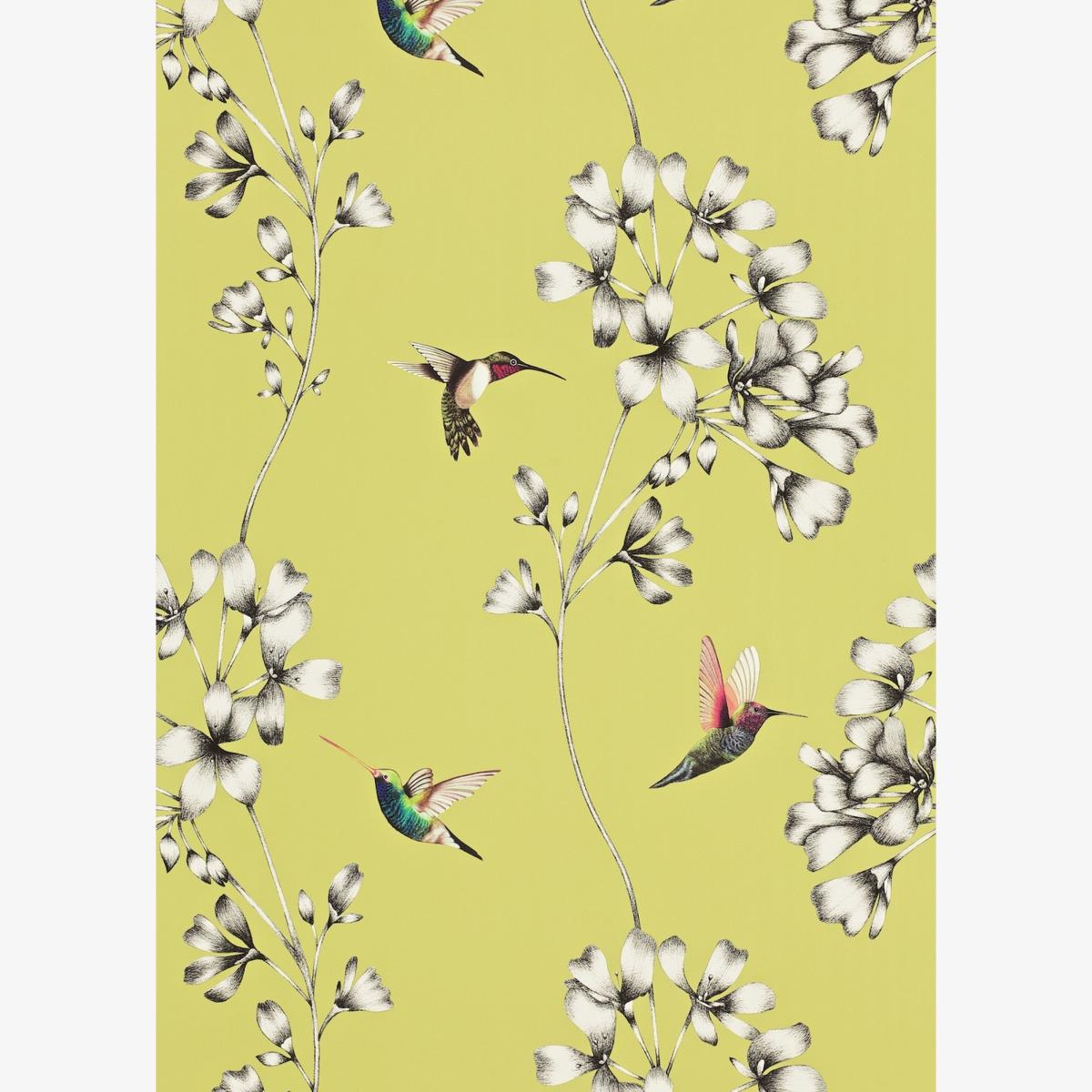 Amazilia Floral 111061 Wallpaper by Harlequin in Gooseberry Green Roll