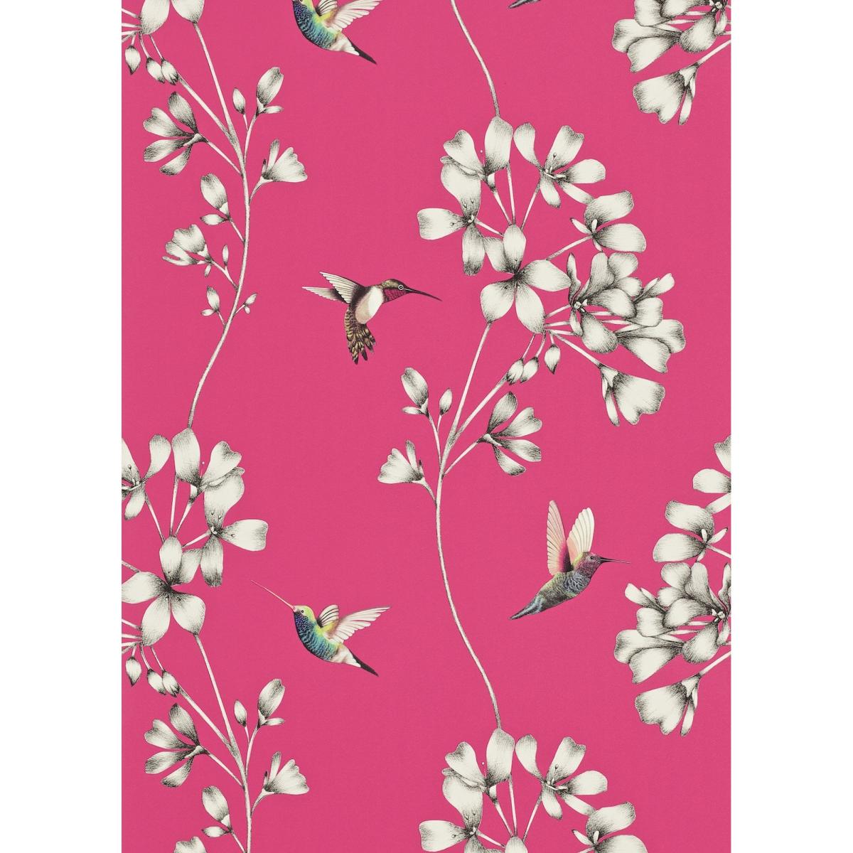 Amazilia Floral 111058 Wallpaper by Harlequin in Flamingo Pink Roll – image 2
