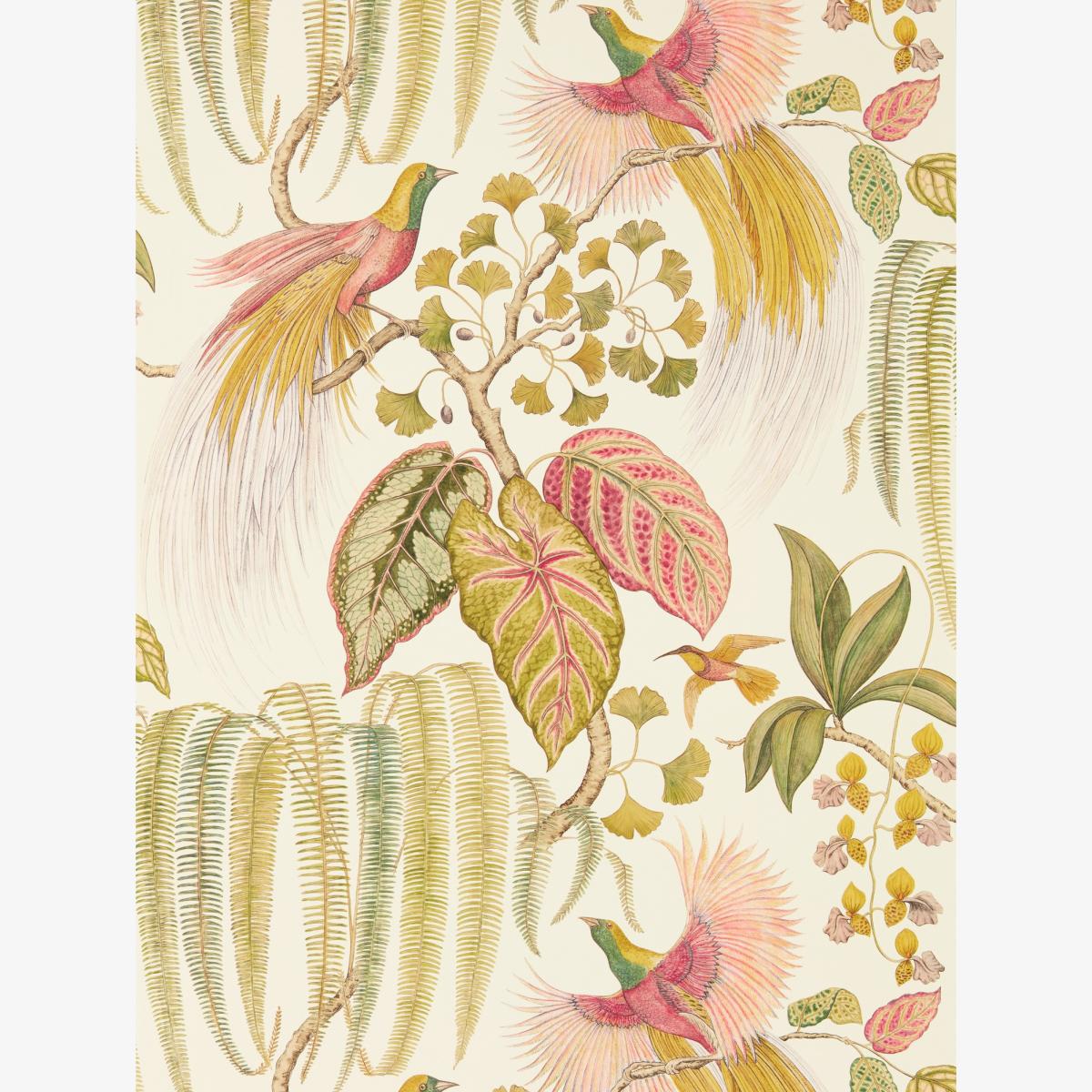 Bird Of Paradise Wallpaper 216653 by Sanderson in Olive Green Roll