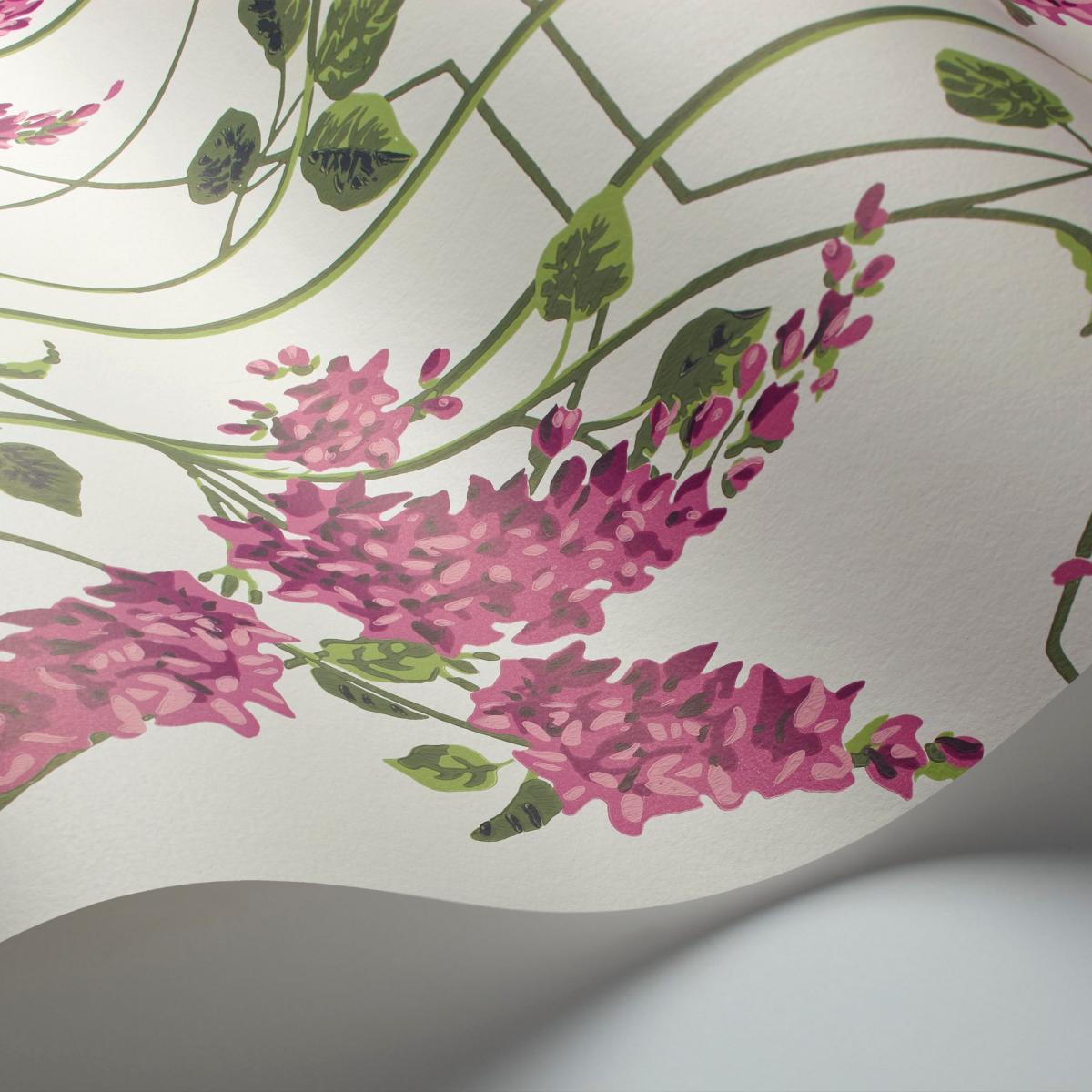 Wisteria Wallpaper 5013 by Cole & Son in Magenta Pink Leaf Green&nbsp;Roll – image 2