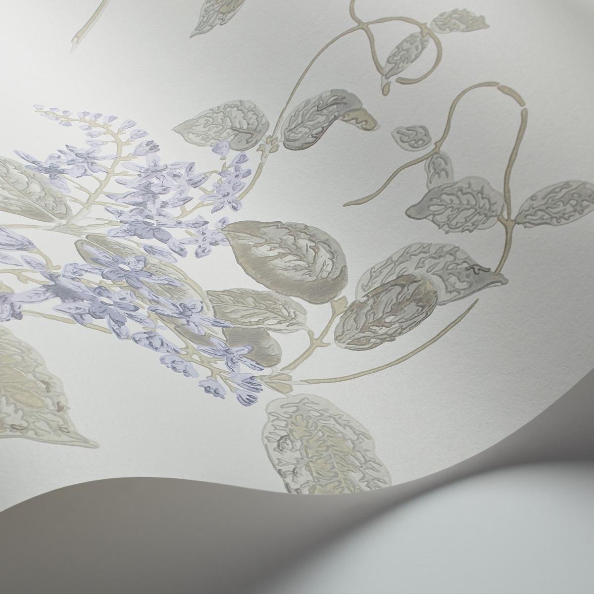 Madras Violet Wallpaper 100 12057 by Cole & Son in Violet Grey Roll – image 2