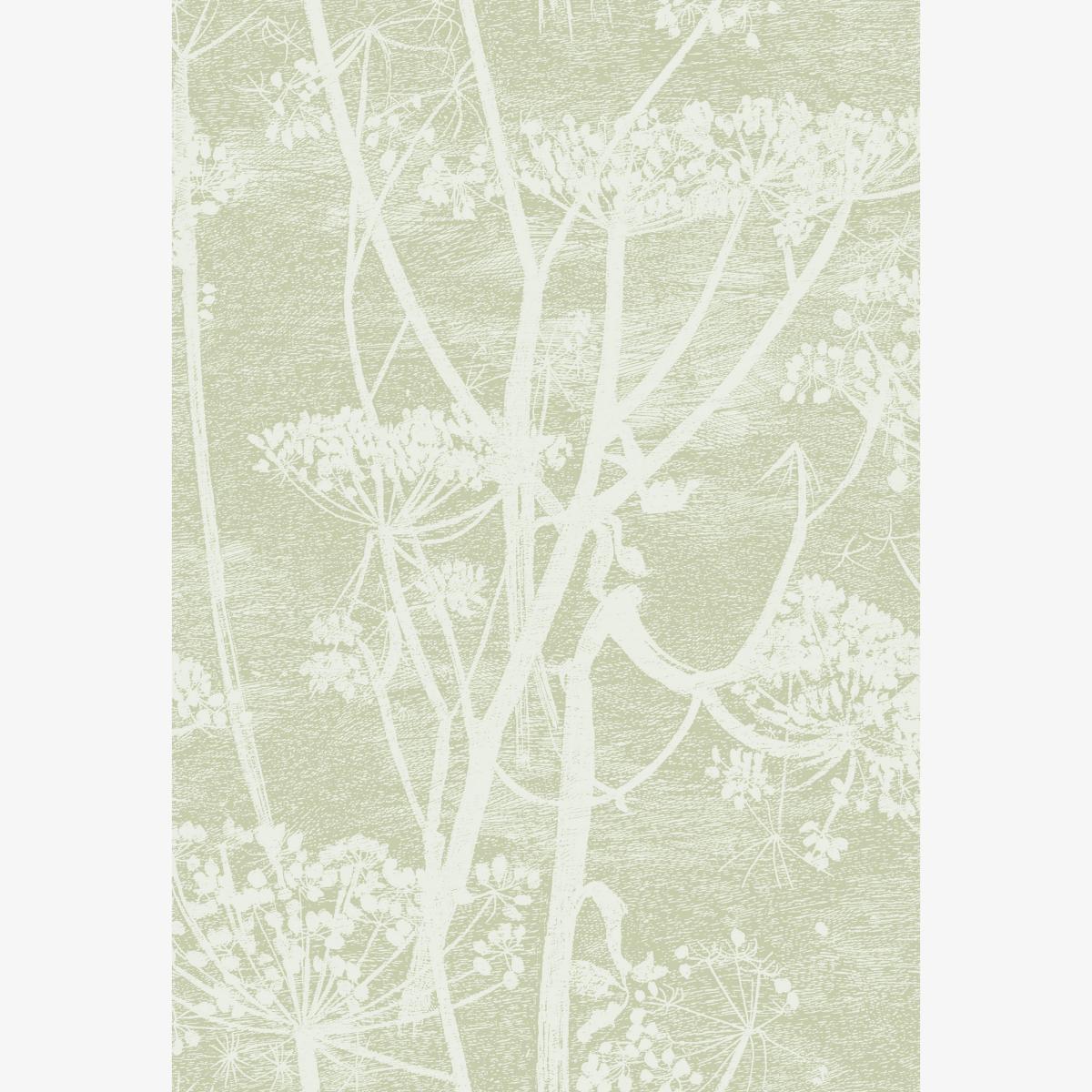 Cow Parsley Wallpaper 8029 by Cole & Son in Olive GreenRoll
