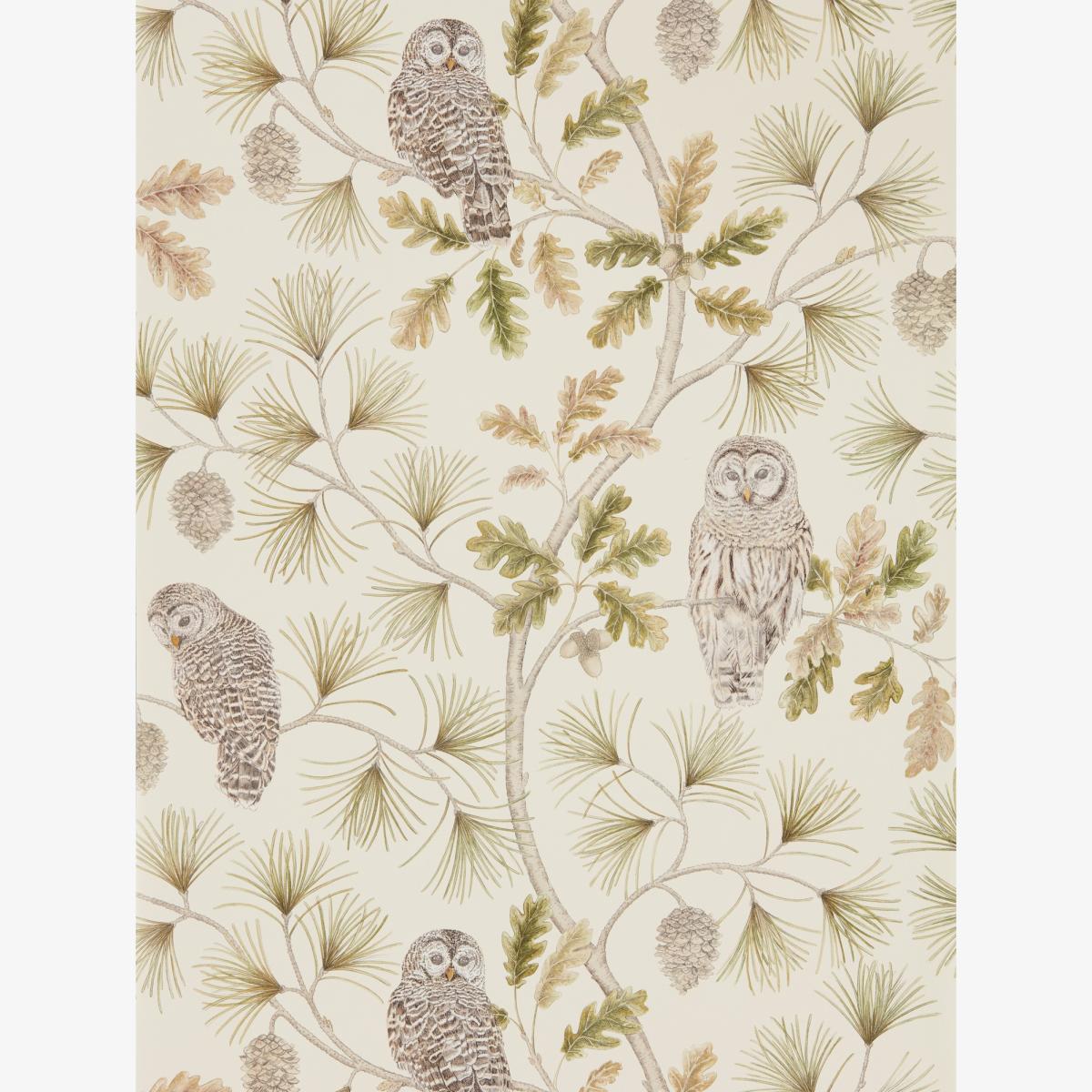 Owlswick Wallpaper 216597 by Sanderson in Briarwood Brown Roll