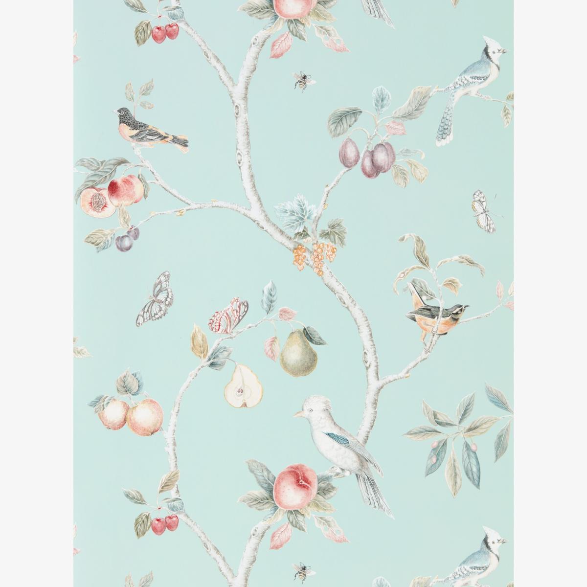 Fruit Aviary Wallpaper 216312 by Sanderson in Duck Egg MultiRoll