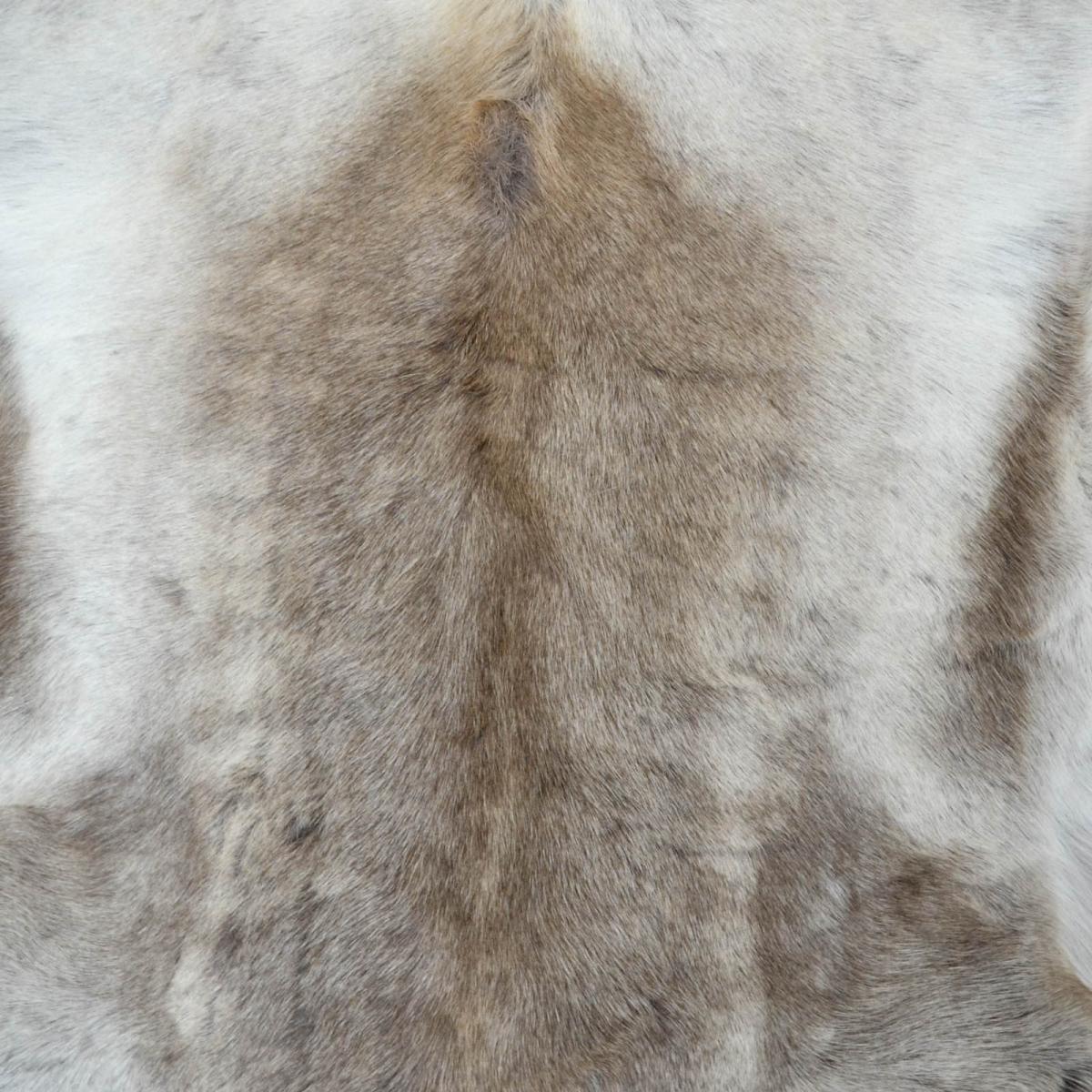 Reindeer Skin Rugs Reindeer – image 4