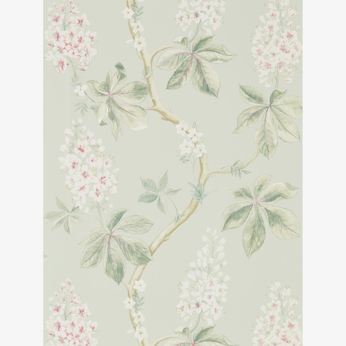 Chestnut Tree Wallpaper 215710 by Sanderson in Seaspray Green Roll
