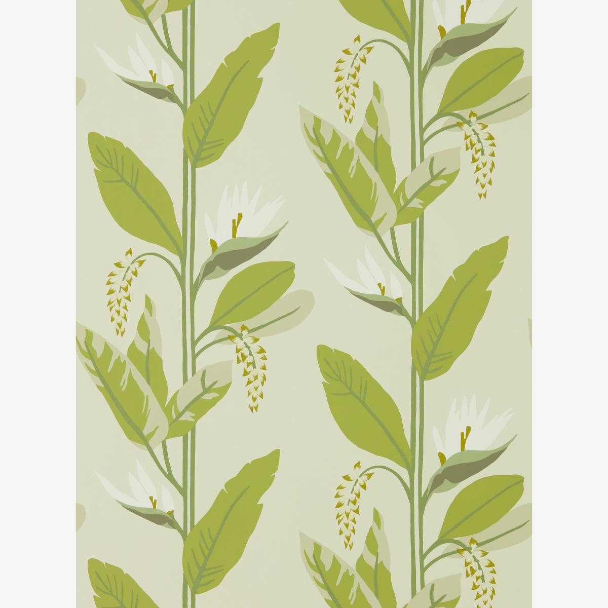 Llenya Wallpaper 112238 by Harlequin in Lime Jade Pebble Roll