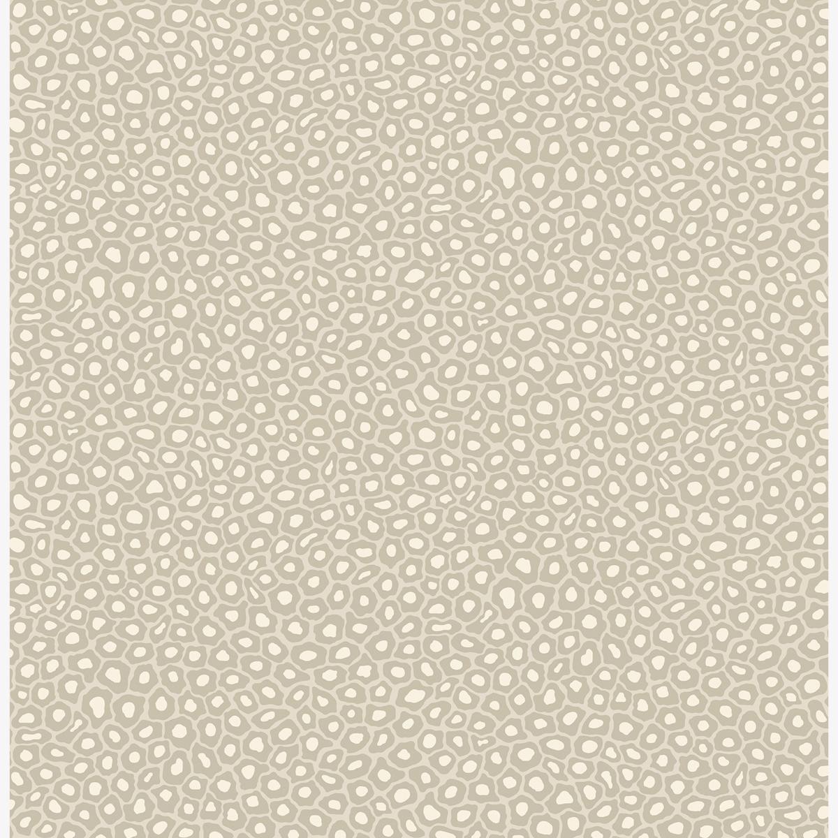 Senzo Spot Wallpaper 6030 by Cole & Son in Stone GreyRoll