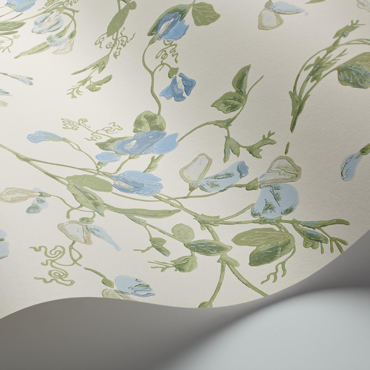 Sweet Pea Wallpaper 100 6031 by Cole & Son in Cerulean Sky Blue Roll – image 2