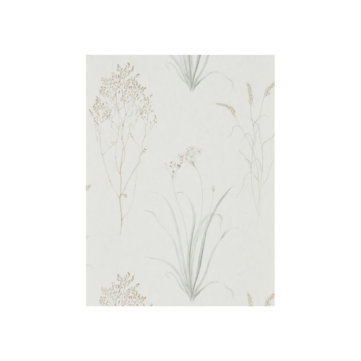 Farne Grasses Wallpaper 216487 by Sanderson in Ivory Silver Grey Roll