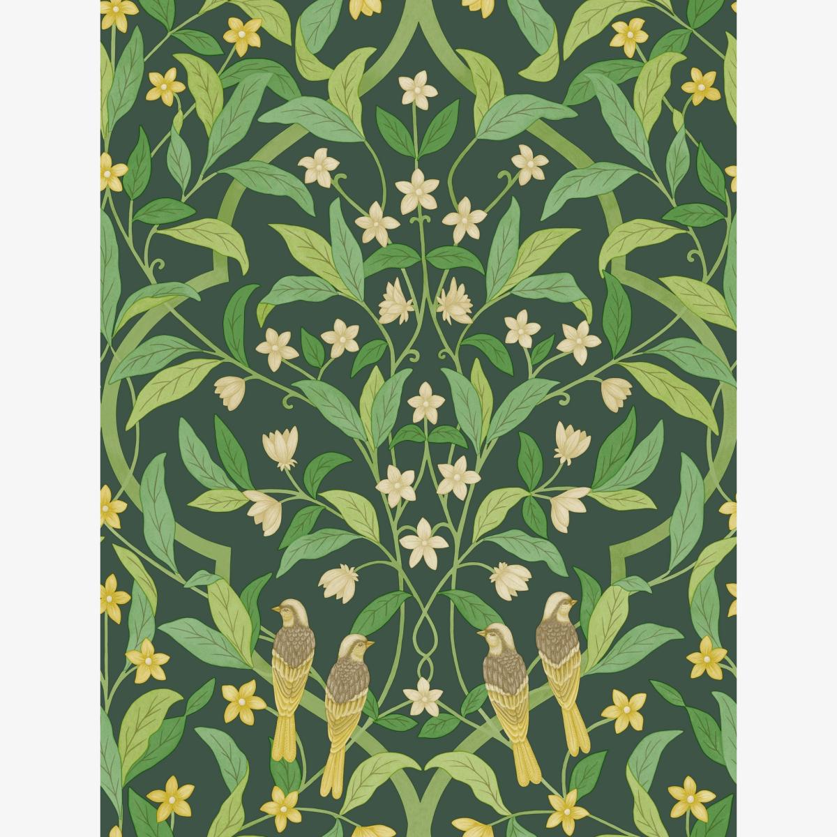 Jasmine & Serin Symphony Wallpaper 10029 by Cole & Son in Forest GreenRoll