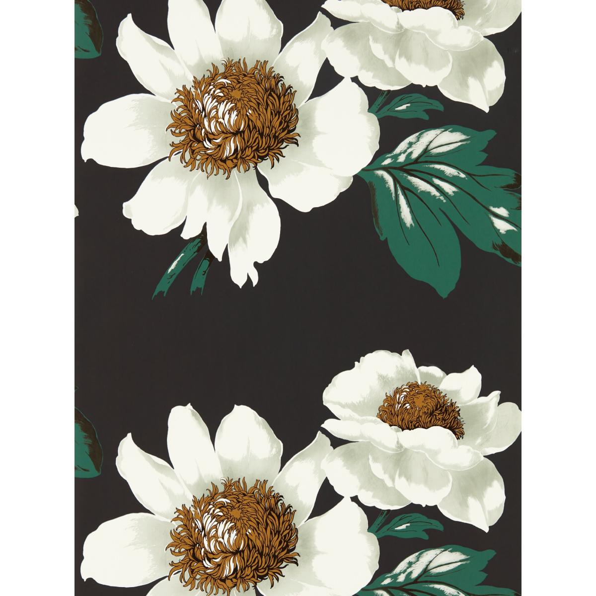 Paeonia Wallpaper 2112841 by Harlequin in Black Earth Fig Leaf Gold Roll – image 3