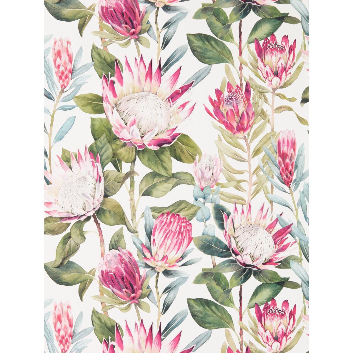 King Protea Wallpaper 216646 by Sanderson in Rhodera Cream Roll – image 3