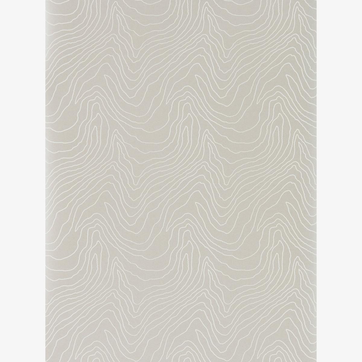 Formation Wallpaper 111590 by Harlequin in Mineral GreyRoll