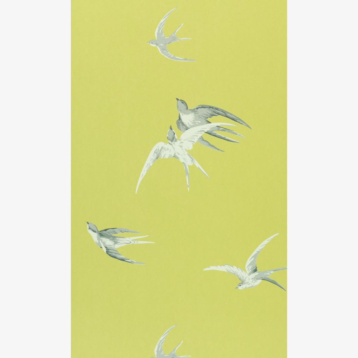 Swallows Wallpaper 101 by Sanderson in Lime Green Roll