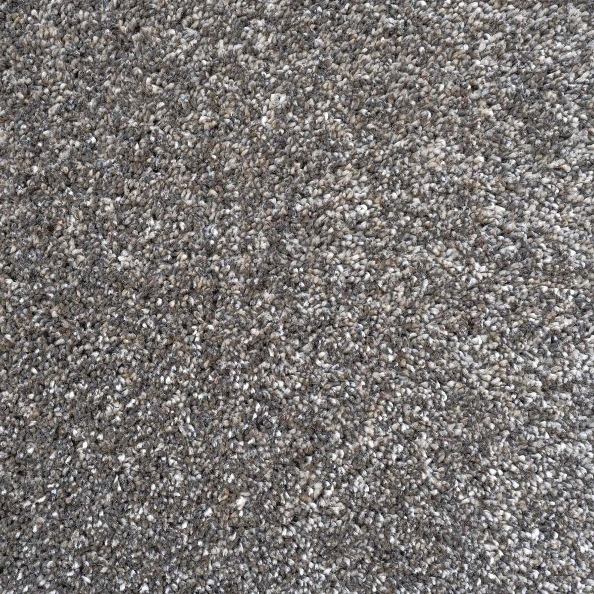 Coral Modern Speckled Shaggy Rugs 24001 3232 in Dark Grey200x290cm – image 2