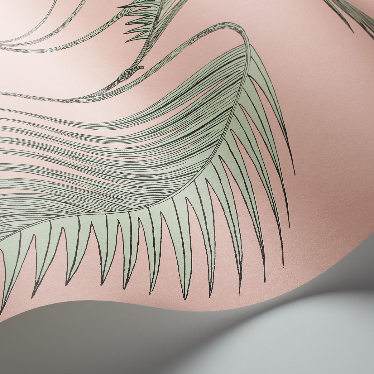 Palm Leaves Wallpaper 2005 by Cole & Son in Alabaster Pink MintRoll