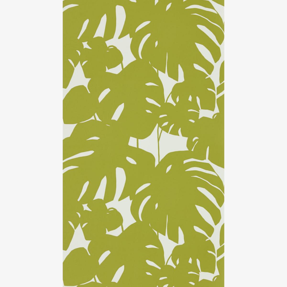 Arizona Botanical Wallpaper 111821 by Scion in Kiwi Green Roll
