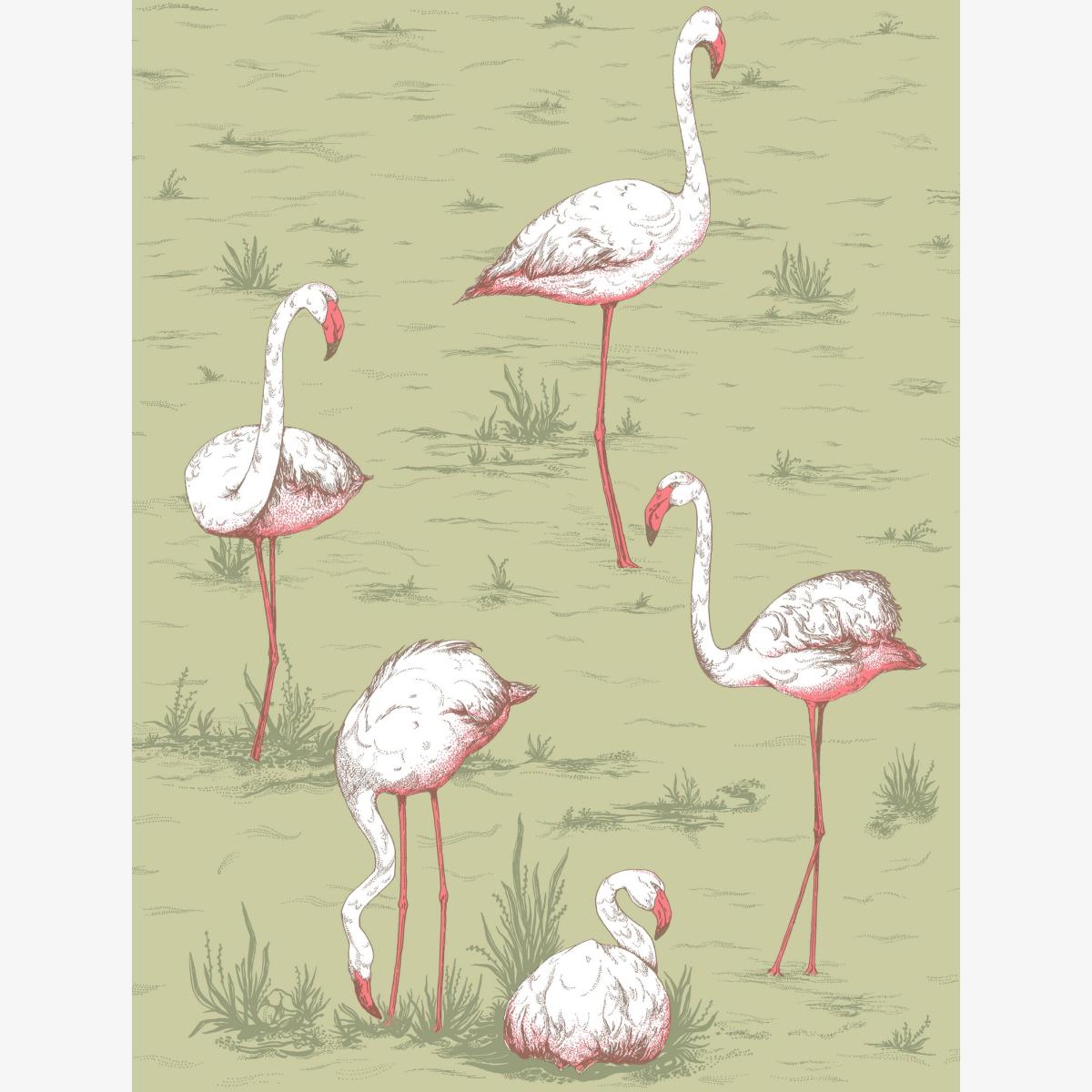 Flamingos Wallpaper 11038 by Cole & Son in Olive GreenRoll