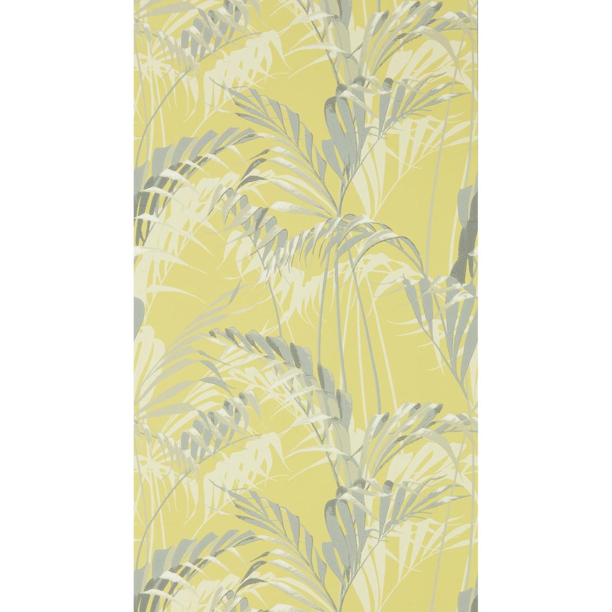 Palm House Wallpaper 216642 by Sanderson in Chartreuse Grey Roll – image 4