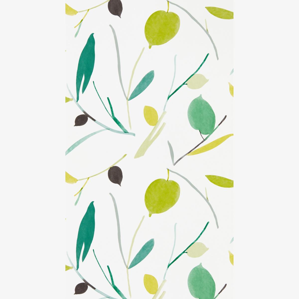 Oxalis Wallpaper 111994 by Scion in Kiwi Juniper Roll