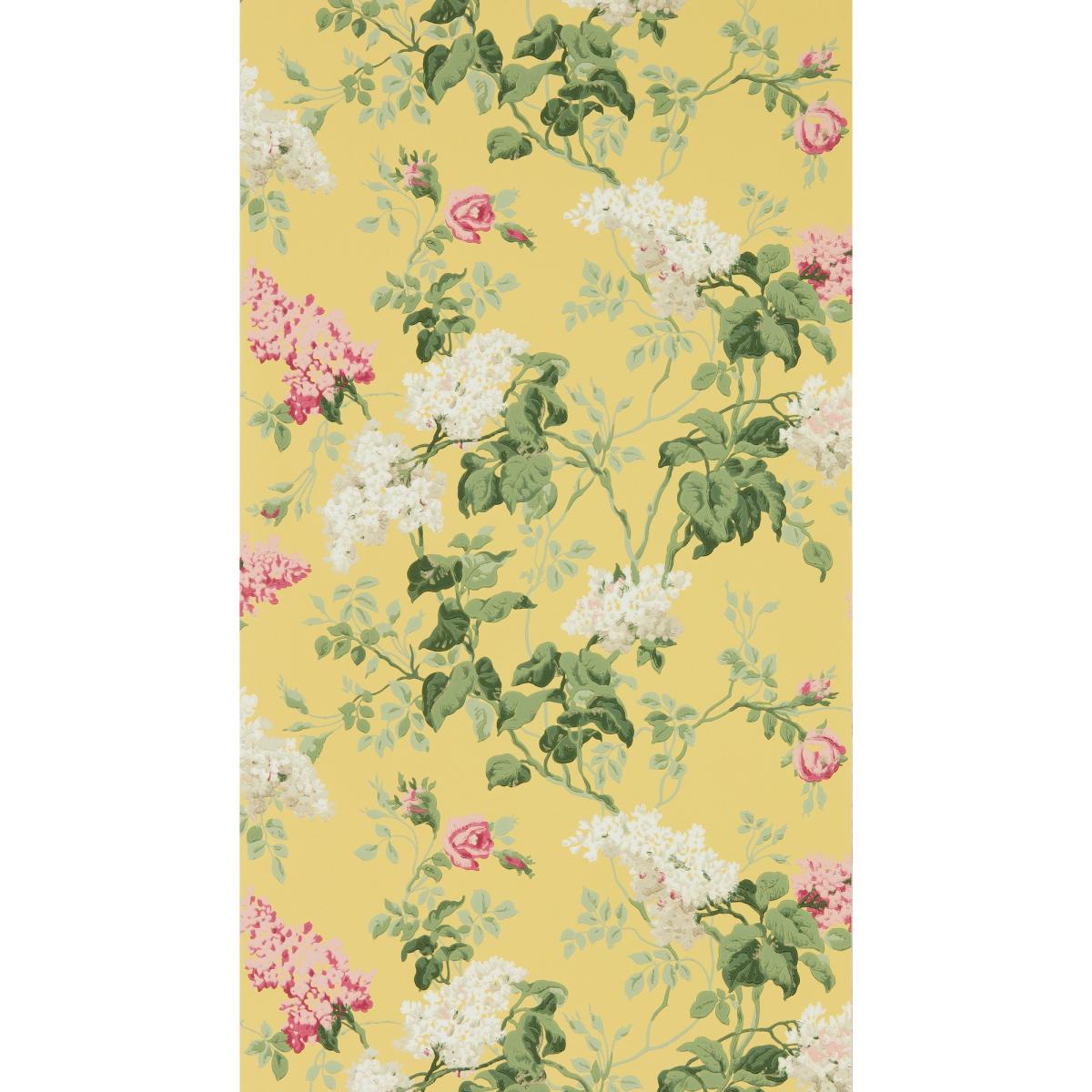Sommerville Wallpaper 217051 by Sanderson in Carmen Daffodil Roll – image 4