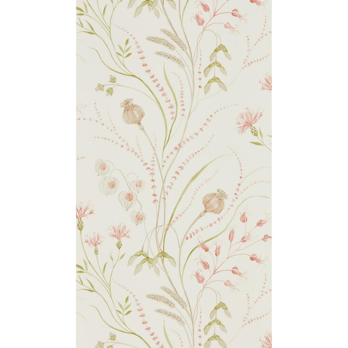 Summer Harvest Wallpaper 216495 by Sanderson in Claret Olive Roll – image 2