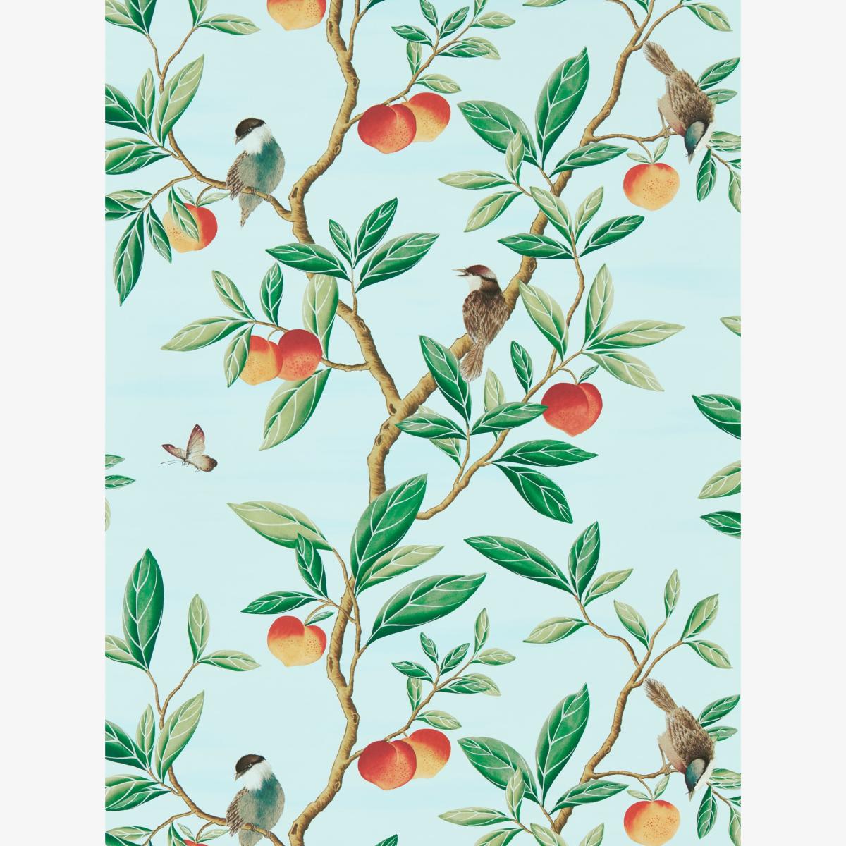 Ella Wallpaper 112908 by Harlequin in Sky Fig Leaf Nectarine Roll