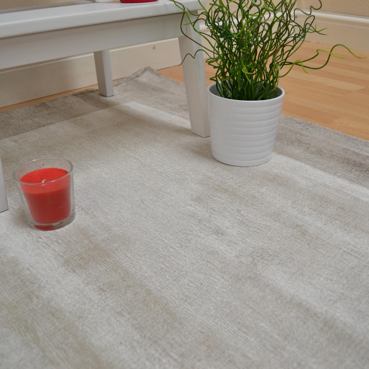 Blade Border Rugs in Smoke Putty 160x230cm – image 4